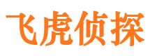 丰宁侦探公司